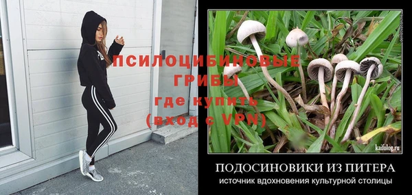 прущий лед Богданович